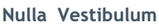 Nulla &nbsp;Vestibulum